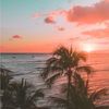 alohalovely808